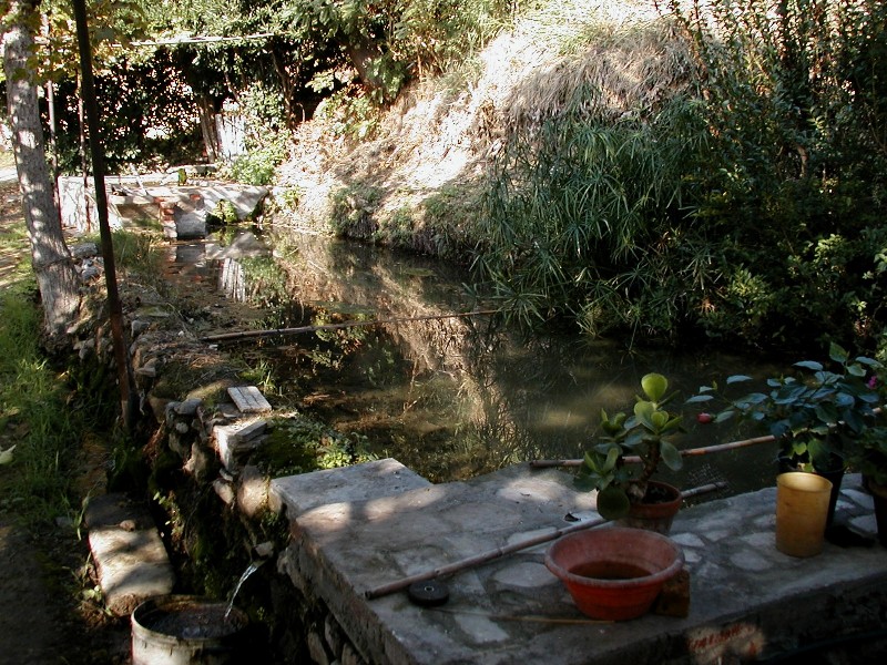 Fontanili della Toscana